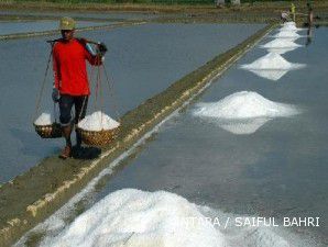 Program pemerintah genjot produksi garam belum efektif