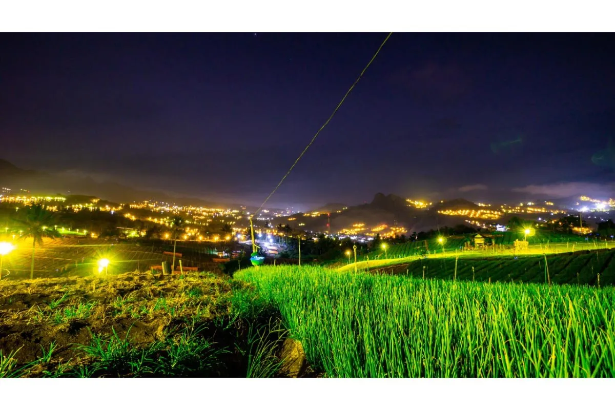 PLN Tingkatkan Produktivitas Petani Bawang Merah Enrekang Electrifying Agriculture