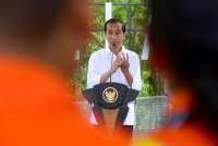 Jokowi Tegaskan Pentingnya Rehabilitasi dan Reklamasi Pascatambang