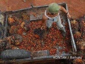 GAPKI : Bea keluar CPO terlalu tinggi, harga migor jadi tidak stabil 