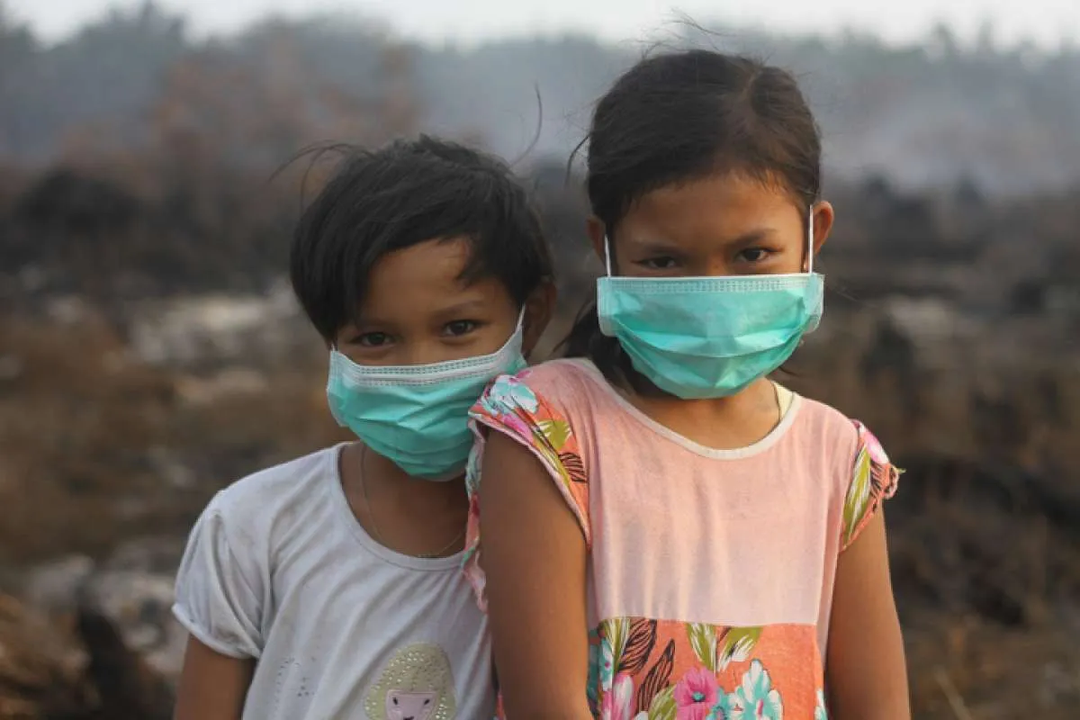 Kerap kali terjadi, Greenpeace dan Walhi minta pemerintah serius tangani karhutla