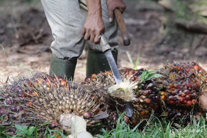 Mahkamah Konstitusi Swiss setuju gelar referendum produk kelapa sawit Indonesia
