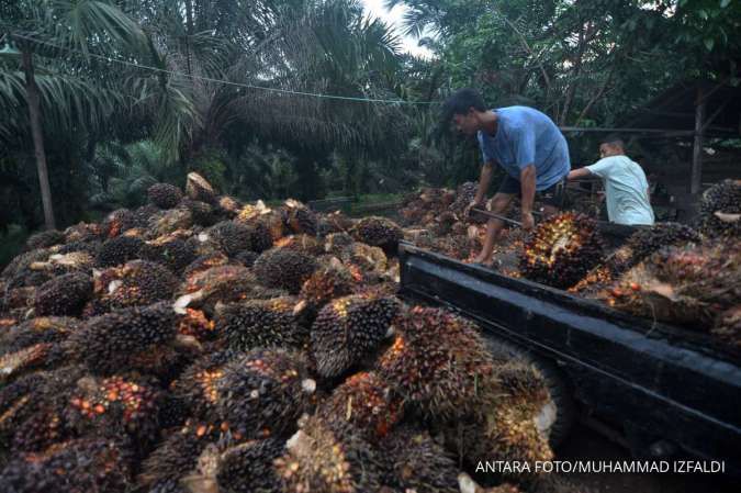 Harga CPO Beranjak Naik, Ini Prospek Kinerja Emiten Sawit