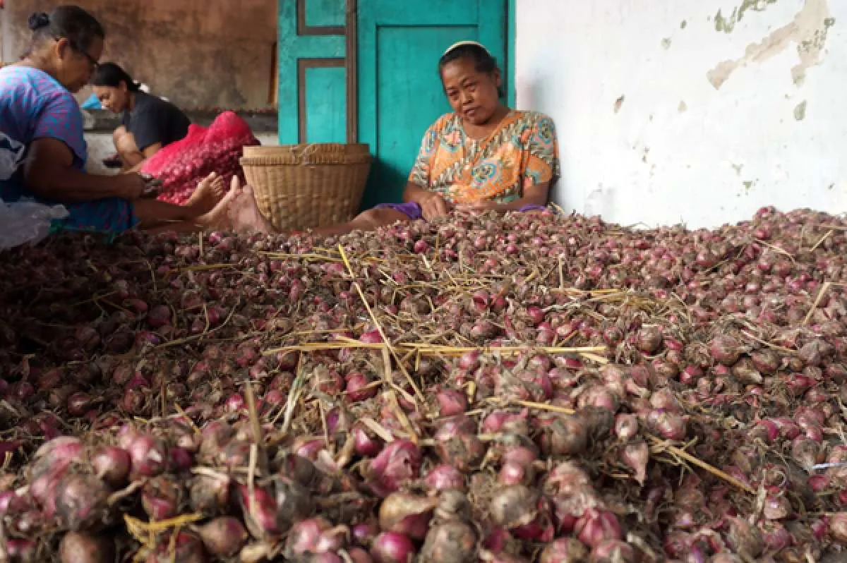 Harga Gula dan Bawang Merah Naik Dibandingkan Bulan Lalu
