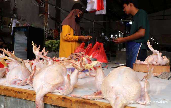 Harga Ayam Tak Sejalan Harga Acuan