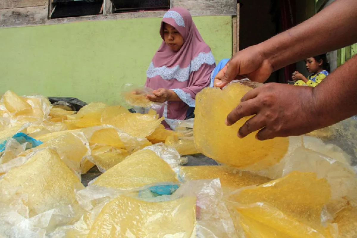 Kemenko perkirakan kebutuhan anggaran subsidi bunga KUR super mikro Rp 760 miliar 