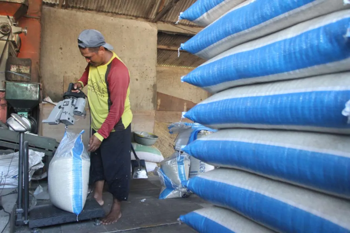 BPS Catat Harga Beras dan Gabah pada Maret 2024 Turun 
