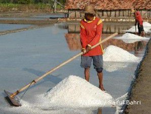 2015, Pemerintah targetkan swasembada garam 