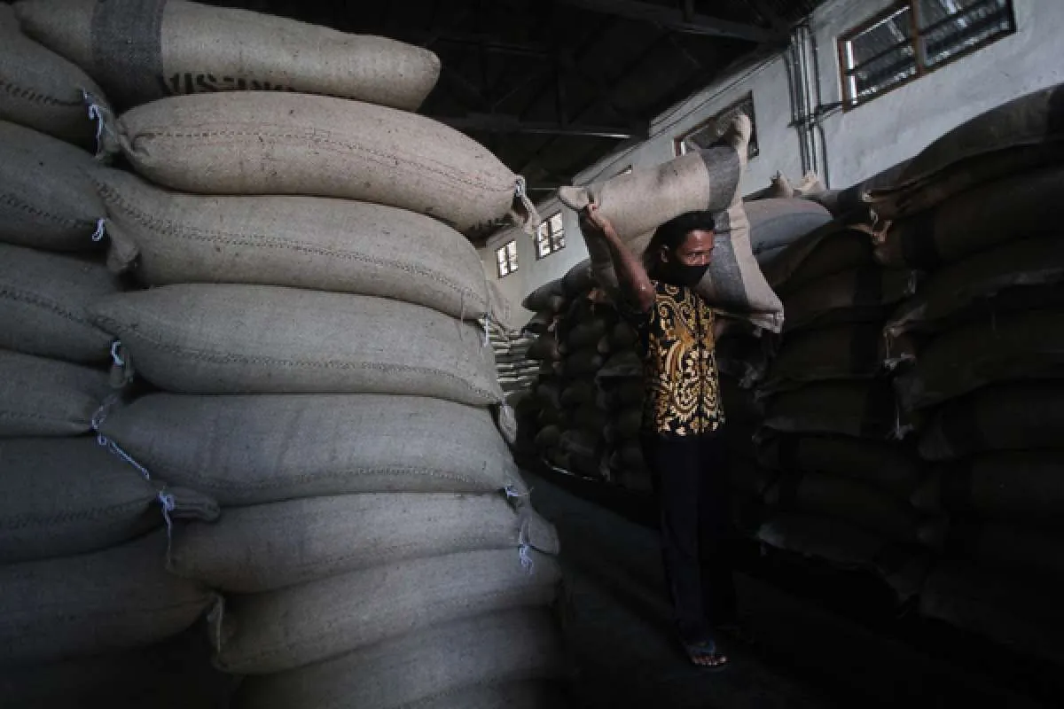 PTPN XII sukses ekspor perdana kopi sebanyak 18 ton