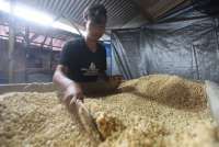 Pengrajin Tempe Terdampak Kenaikan Harga Kedelai, Mentan Akan Kumpulkan Importir