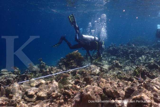 Kawasan Konservasi Laut Bertambah 1,07 Juta Ha