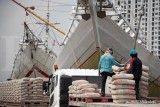 Aspebindo Dorong Pemenuhan DMO Batubara untuk Industri Semen