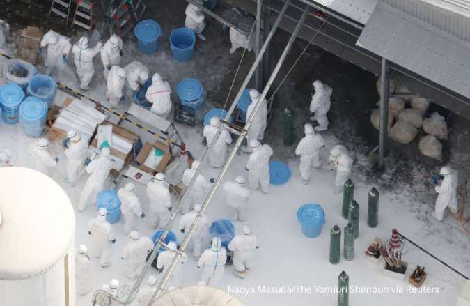 Gara-gara flu burung, Korea Selatan musnahkan 5,59 juta unggas kurang dari sebulan