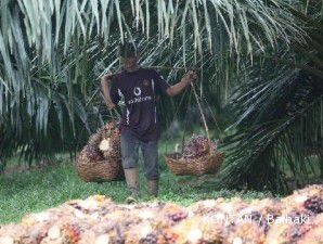 UNSP tengah bidik perusahaan perkebunan besar untuk diakuisisi