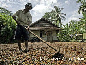 Asosiasi Eksportir Kopi Ciutkan Anggota