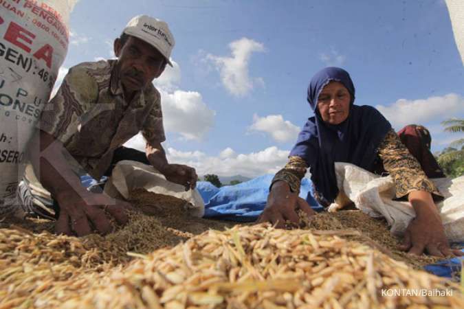 Usai Kirim ke Arab Saudi, Indonesia Bakal Ekspor Beras ke Malaysia Hingga Filipina