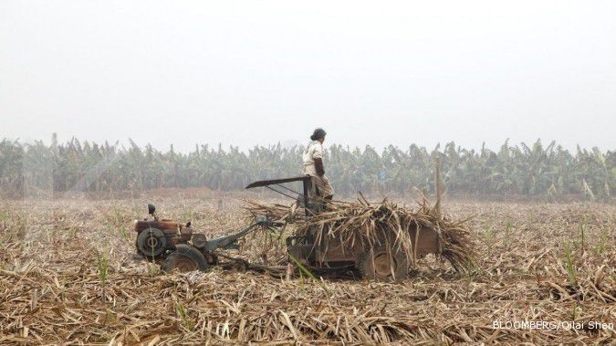 Tambah lahan, RNI ekspansi ke Myanmar dan Kamboja