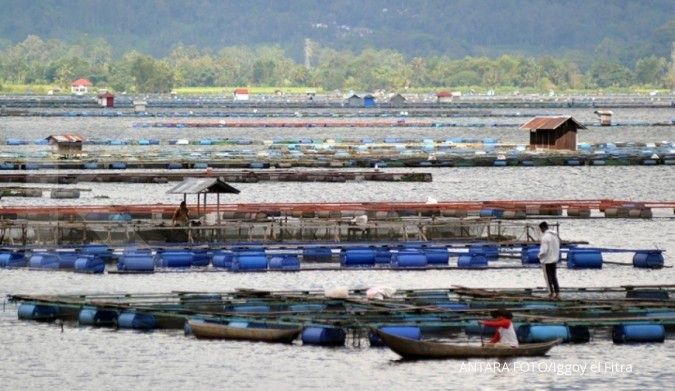 Kerjasama Qatar-Indonesia bisa tingkatkan ekspor ikan budidaya