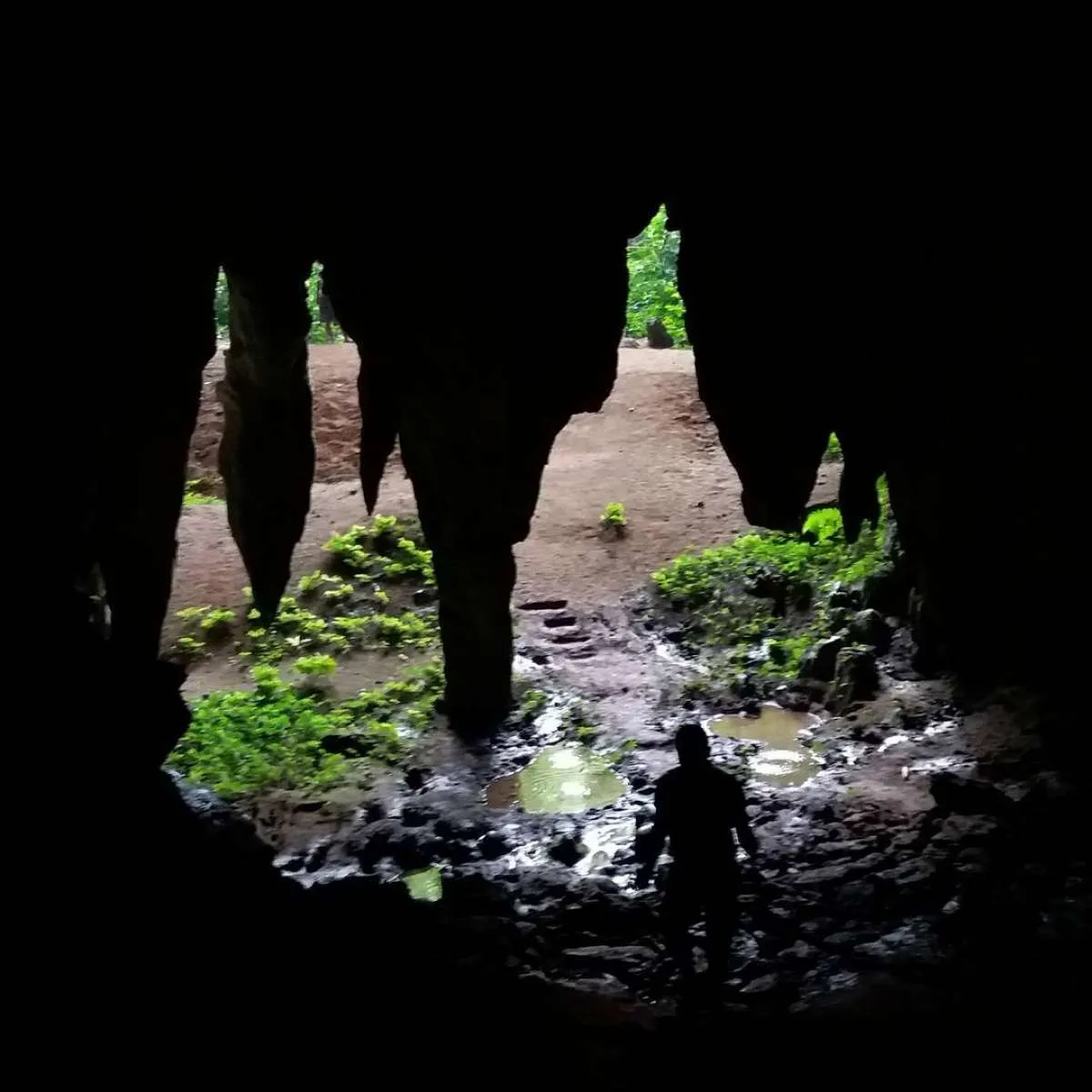 Tak hanya jadi tujuan wisata alam, Goa Sutra Reregan punya banyak spot instagramable