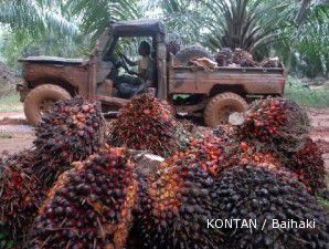 Harga CPO terkerek spekulasi reli kedelai dan jagung