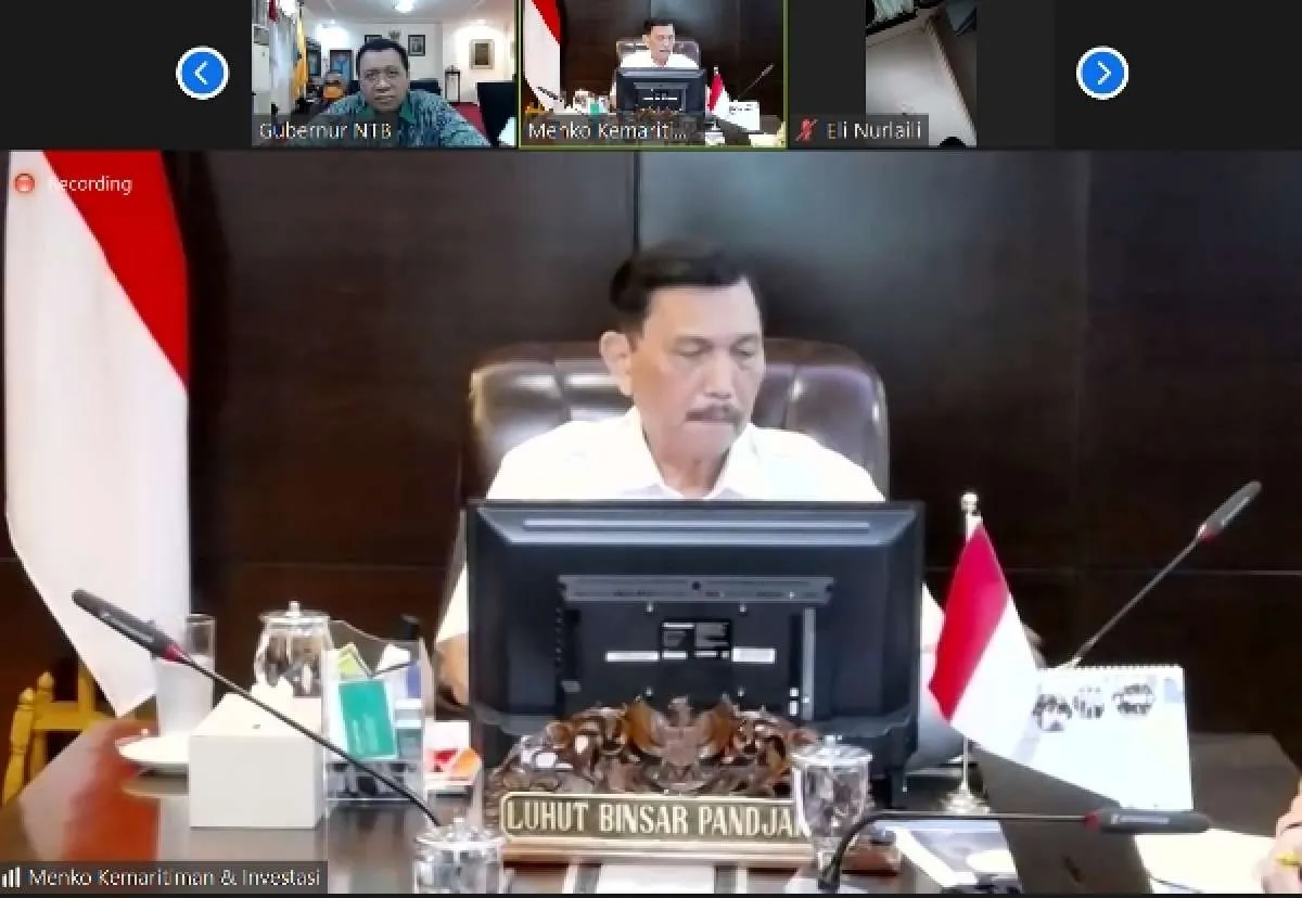 Luhut: Kalau waktu itu kita lockdown, kita sudah bubar