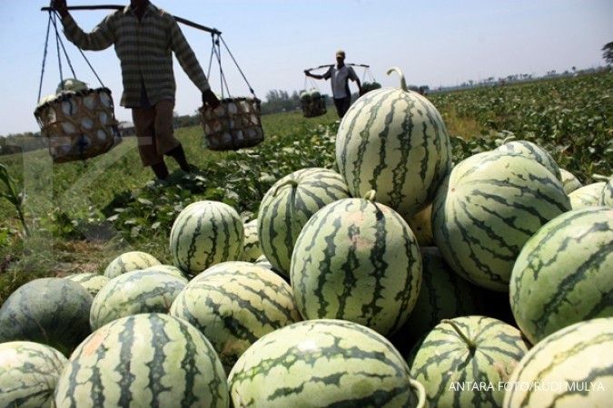 Ayo konsumsi serat agar tubuh sehat 