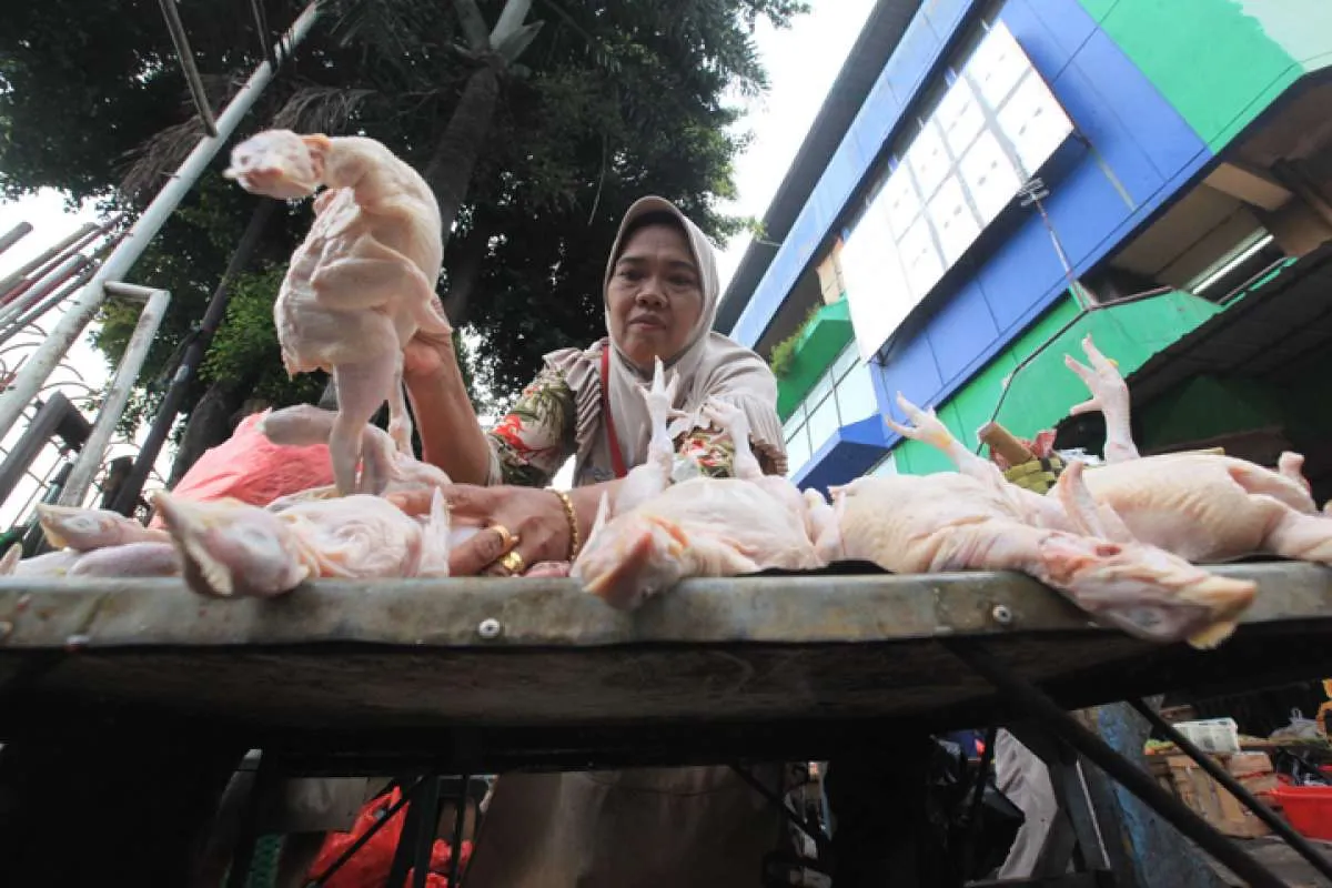 BPS catat inflasi Juni 0,18%, berikut faktor pendorongnya