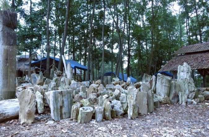 Menggali potensi kerajinan fosil kayu di Lebak (1)
