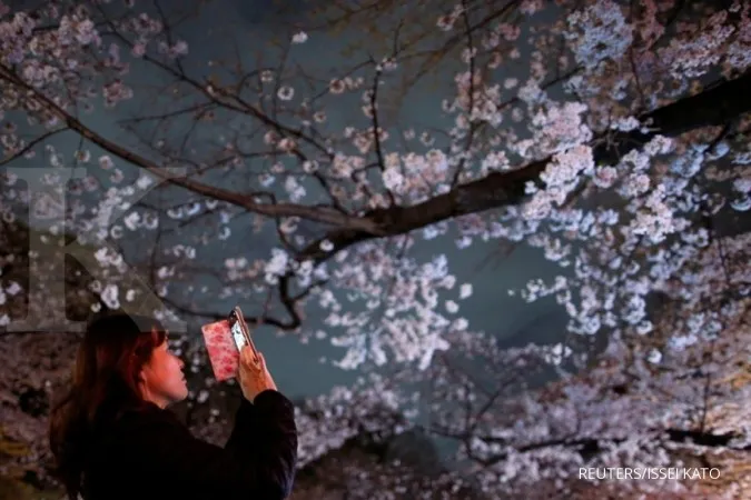 Bunga sakura mulai bermekaran di Tokyo