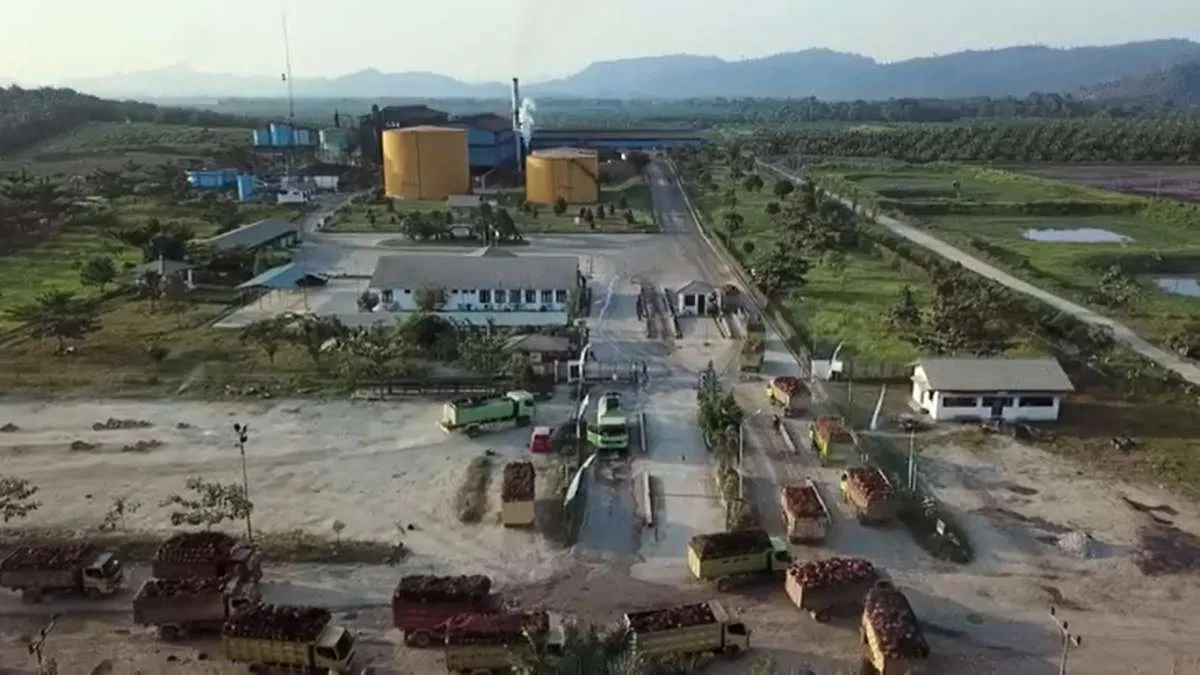 Palma Serasih (PSGO) Anggarkan Capex Rp 497 Miliar di 2023