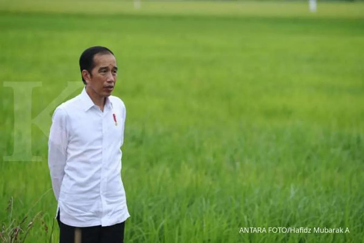 Jokowi akan bubarkan 18 badan, ini bocorannya