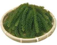 Kenali 4 Manfaat Green Caviar untuk Wajah, Kulit Jadi Lembab!