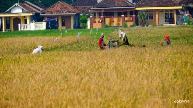 Tingkatkan Produksi Pangan, Wilmar Padi Dorong Petani Ubah Rawa Jadi Lahan Pangan