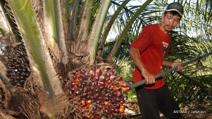 Sikap AS terhadap CPO bisa pengaruhi negara lain