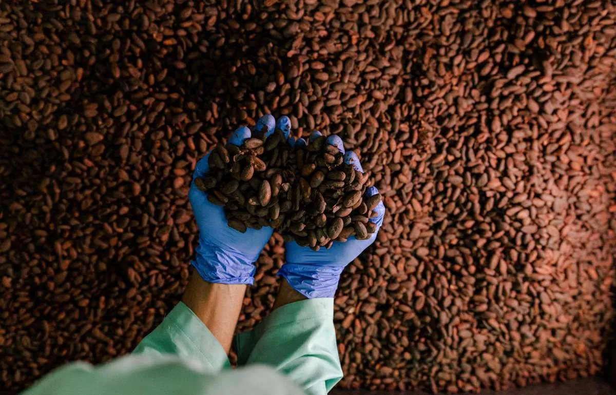 Wahana Interfood (COCO) Incar Kenaikan Penjualan 25% Selama Ramadan
