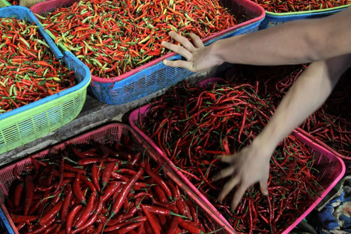 Harga Beras Premium dan Telur Ayam Ras Naik di Sulawesi Tenggara, Selasa (10/12)