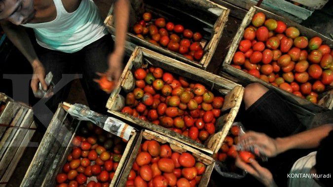 Kemtan belanja tomat Rp 2.500 per kg