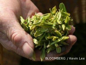 Harga teh di lelang teh KPBN turun 6%