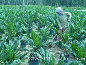 UNSP targetkan kelola 200.000 hektare lahan sawit dan karet hingga 2014