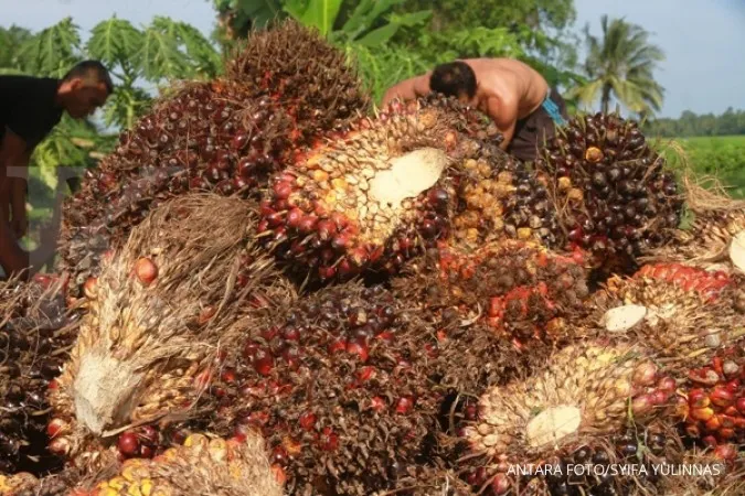 RI urged to firmly oppose EU palm oil resolution