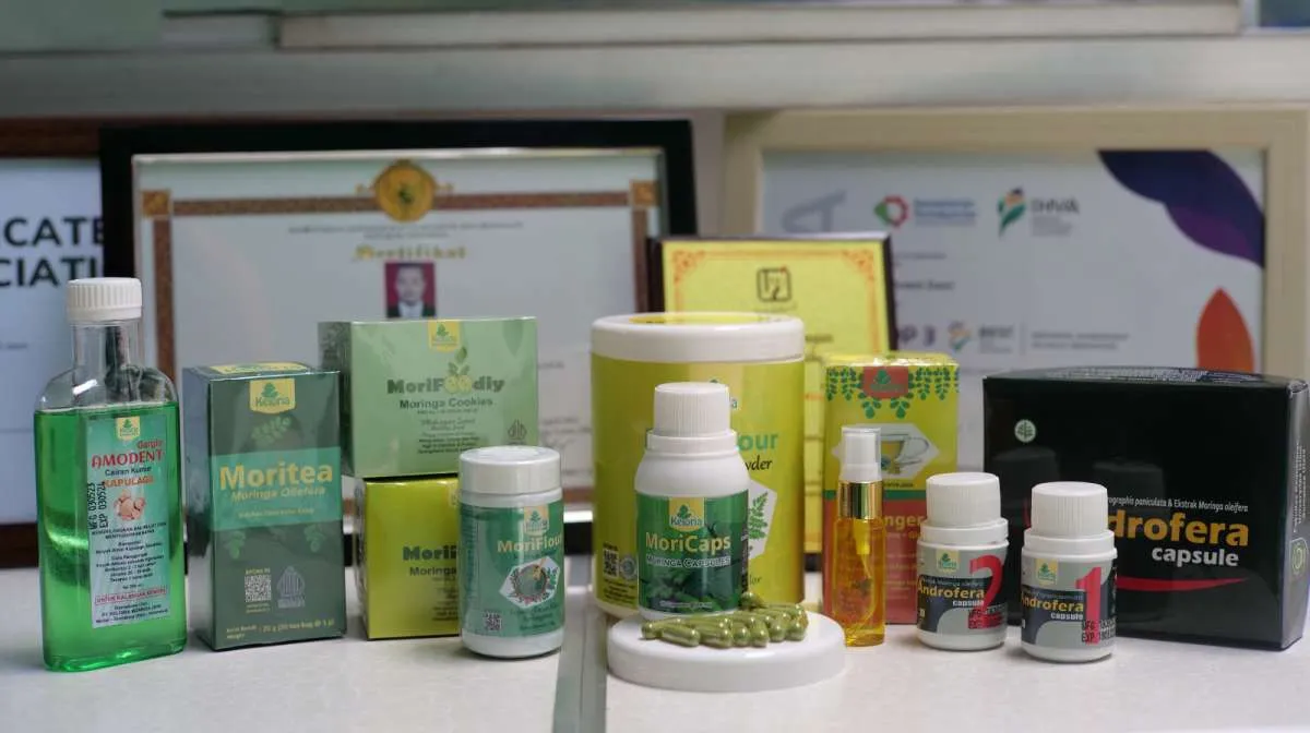 Kisah Produk Daun Kelor Yang Sudah Tembus Pasar Global