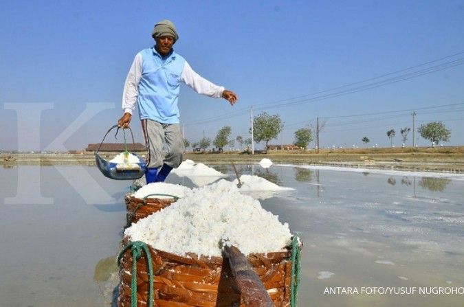 Petani garam menggugat regulasi impor garam