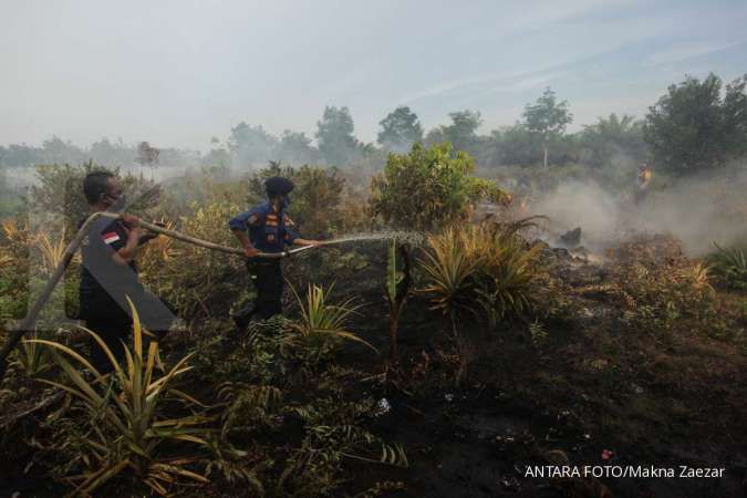 Mahfud MD: Pemerintah komitmen antisipasi kebakaran hutan tahun ini