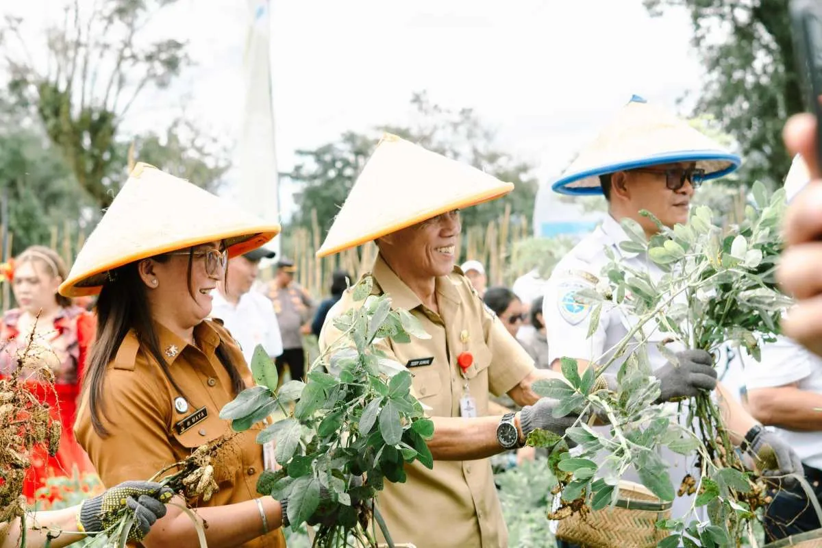 PGE dan UGM Perkuat Ketahanan Pangan dengan Panen Raya Katrili 2025