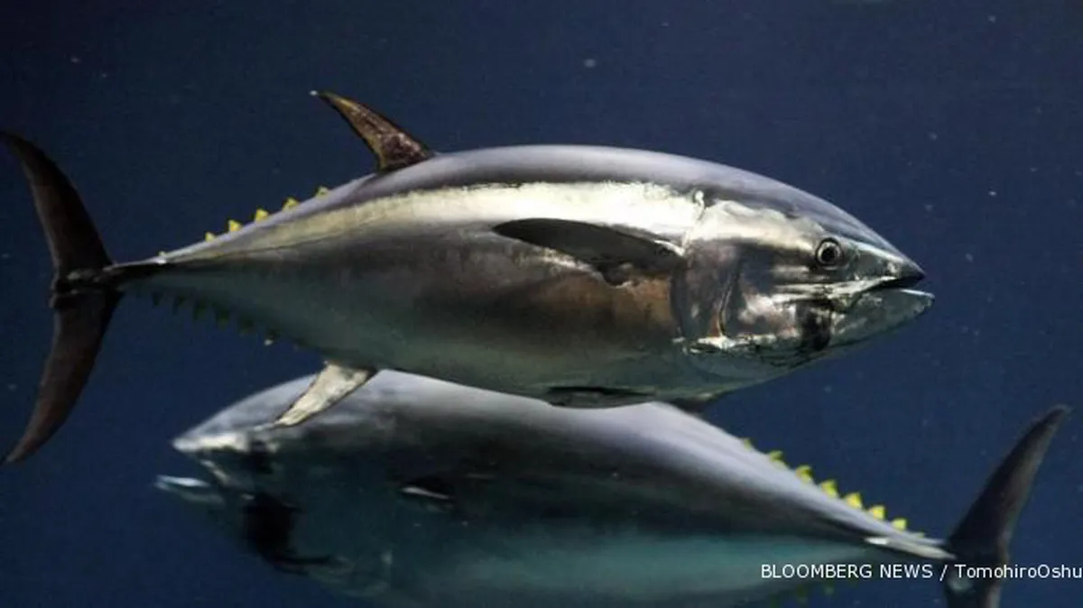 Rebutan pulau dengan Jepang, massa China marah