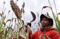 Jadwal Buka Puasa Bandung Hari Ini Jumat (20/2): Pukul Berapa Maghrib Tiba?