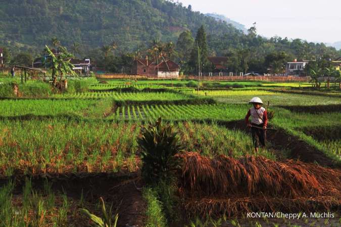 Cuaca Jabar Minggu, 1 Februari: Bogor Hingga Pangandaran Diguyur Hujan Ringan?