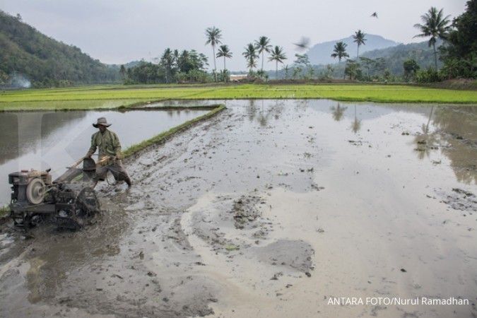 Luas lahan baku sawah Indonesia turun menjadi 7,1 juta hektare