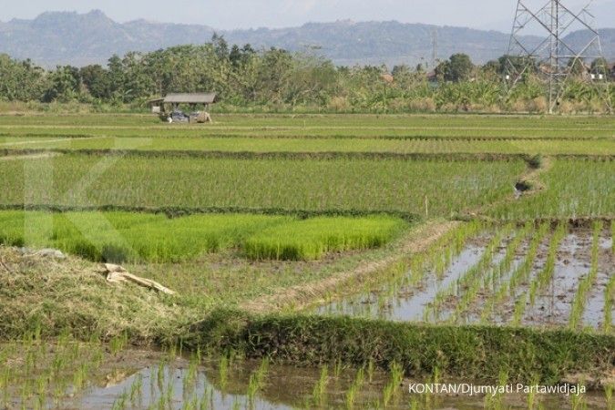 Waduk Jatigede diharapkan tekan puso di Cirebon