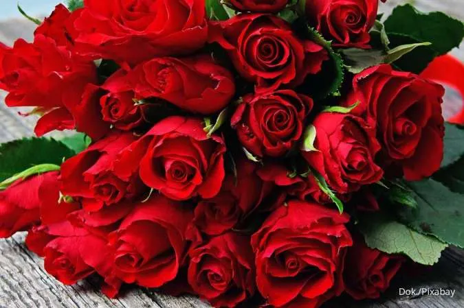 5 Bunga Simbol Cinta dan Kasih Sayang, Ide Kado Terbaik untuk Pasangan